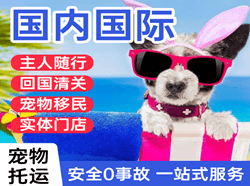 岳阳三荷空运地址国际宠物托运 【国